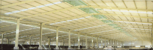 工字鋼結(jié)構(gòu) sdfgesa